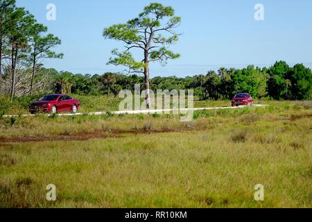 Autos auf den schwarzen Punkt Wildlife Drive, Loop, auch Meilen, Auto tour Merritt Island National Wildlife Refuge Stockfoto