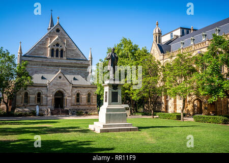 Goodman Crescent Square und Elder Halle Blick in Adelaide SA Australia Stockfoto