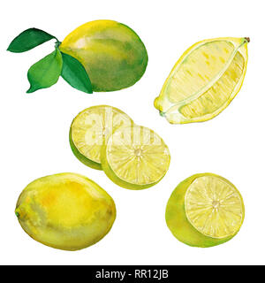 Aquarell Satz frischer Zitronen. Früchte mit Blättern und Schnitt in der Mitte. Objekte auf weißem Hintergrund. Stockfoto