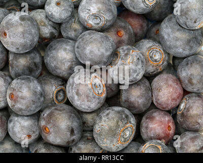 Nahaufnahme der Frische reife Süße Blaubeeren, natürlichen Hintergrund Stockfoto