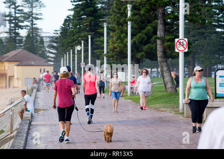 Menschen zu Fuß und das Training auf der Promenade in der Nähe des North Steyne Surf Club neben Sydney Manly Beach, New South Wales, Australien Stockfoto