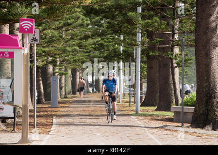 Radfahrer, die auf dem gemeinsam genutzten Pfad entlang North Steyne finden gerade vom Strand in Sydney Manly Beach, New South Wales, Australien Stockfoto