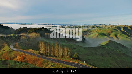 Straße durch die grünen Hügel mit Wolken rollen über Sie während der Sunrise auf der Nordinsel von Neuseeland. Stockfoto