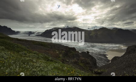 Skaftafellsjokull Gletscherzunge und Gletschersee mit Blumen und Gras im Vordergrund und die Berge im Hintergrund und bewölkter Himmel darüber. Skaftafell Stockfoto