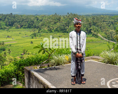 Reisfelder mit Mount Agung auf Bali Indonesien mit lokalen Stockfoto