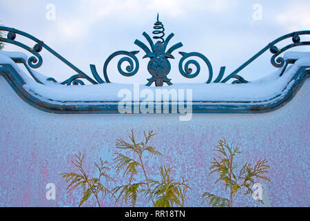 Grünen Farnblätter gegen geschneit Stone Fence mit Eisen Dekoration auf der Oberseite Stockfoto