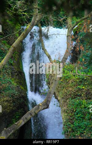 Dyserth, Uk Dyserth Wasserfälle weiß wie die jewell von North Wales credit Ian Fairbrother/Alamy Stockfotos Stockfoto