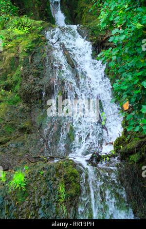 Dyserth, Uk Dyserth Wasserfälle weiß wie die jewell von North Wales credit Ian Fairbrother/Alamy Stockfotos Stockfoto