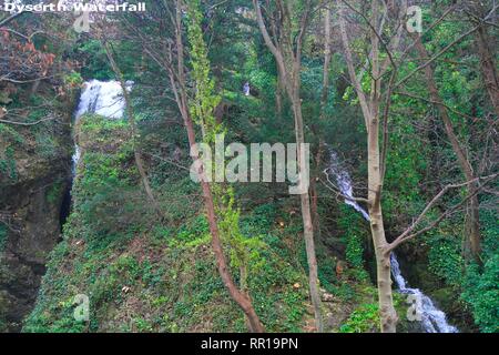 Dyserth, Uk Dyserth Wasserfälle weiß wie die jewell von North Wales credit Ian Fairbrother/Alamy Stockfotos Stockfoto