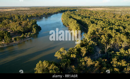 Murray River mit Wallpolla Island State Wald im Hintergrund. Stockfoto