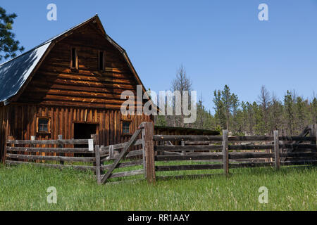 Eine alte hölzerne Scheune mit einem eingezäunten in Corral und hohes Gras auf einem verlassenen Gehöft Anblick in den Black Hills von South Dakota. Stockfoto