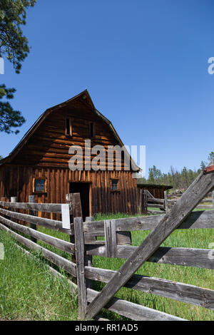 Eine alte hölzerne Scheune mit einem eingezäunten in Corral und hohes Gras auf einem verlassenen Gehöft Anblick in den Black Hills von South Dakota. Stockfoto