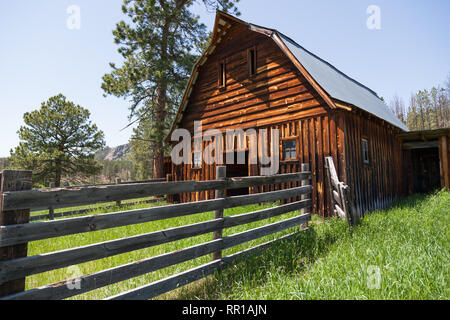 Eine alte hölzerne Scheune mit einem eingezäunten in Corral und hohes Gras auf einem verlassenen Gehöft Anblick in den Black Hills von South Dakota. Stockfoto