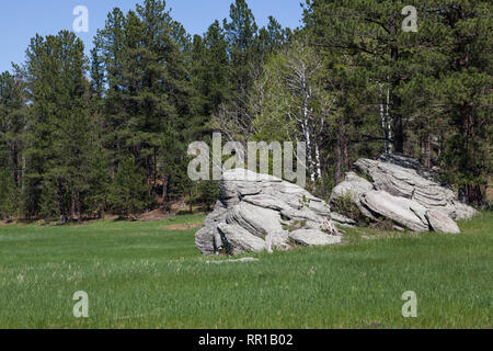Zwei kreisförmige Felsformationen in einem lebhaften grünen Wiese neben Aspen und Pinien in den Black Hills von South Dakota. Stockfoto