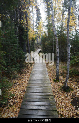 Boardwalk entlang einer Wald Wanderweg im Herbst gesehen, in Prince Albert National Park im Norden von Saskatchewan, Kanada. Stockfoto