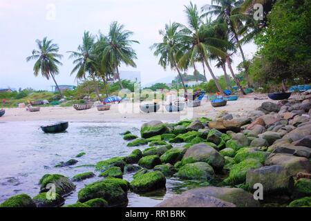 Moss-Saison in Danang City, die Felsen von grünen abgedeckt sind Stockfoto