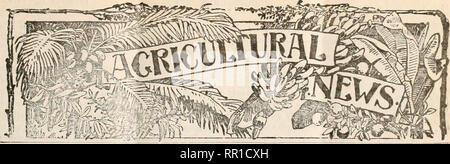 . Landwirtschaftliche Nachrichten. Landwirtschaft - West Indies; Pflanzenkrankheiten - West Indies. . Bitte beachten Sie, dass diese Bilder sind von der gescannten Seite Bilder, die digital für die Lesbarkeit verbessert haben mögen - Färbung und Aussehen dieser Abbildungen können nicht perfekt dem Original ähneln. extrahiert. Großbritannien. Imperial Abt. der Landwirtschaft für die Westindischen Inseln. Bridgetown, Barbados, Bowen &Amp; Söhne; Stockfoto