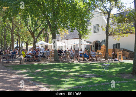 Menschen oder Diners außerhalb Mittags sitzen unter den Eichen im Schatten genießen Sie eine Mahlzeit im Deli Boschendal Weingut, Cape Winelands Stockfoto