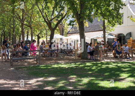 Menschen oder Diners außerhalb Mittags sitzen unter den Eichen im Schatten genießen Sie eine Mahlzeit im Deli Boschendal Weingut, Cape Winelands Stockfoto