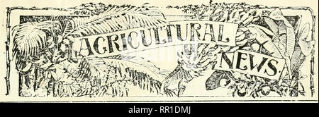 . Landwirtschaftliche Nachrichten. Landwirtschaft - West Indies; Pflanzenkrankheiten - West Indies. . Bitte beachten Sie, dass diese Bilder sind von der gescannten Seite Bilder, die digital für die Lesbarkeit verbessert haben mögen - Färbung und Aussehen dieser Abbildungen können nicht perfekt dem Original ähneln. extrahiert. Großbritannien. Imperial Abt. der Landwirtschaft für die Westindischen Inseln. Bridgetown, Barbados, Bowen &Amp; Söhne; Stockfoto