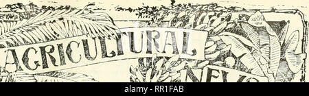 . Landwirtschaftliche Nachrichten. Landwirtschaft - West Indies; Pflanzenkrankheiten - West Indies. ""^*'> 3iE^^. Bitte beachten Sie, dass diese Bilder sind von der gescannten Seite Bilder, die digital für die Lesbarkeit verbessert haben mögen - Färbung und Aussehen dieser Abbildungen können nicht perfekt dem Original ähneln. extrahiert. Großbritannien. Imperial Abt. der Landwirtschaft für die Westindischen Inseln. Bridgetown, Barbados, Bowen &Amp; Söhne; Stockfoto
