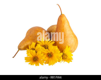 Birnen mit gelben Blumen auf Weiß isoliert. Reife Birnen, wie Sommer Herbst noch Leben Stockfoto