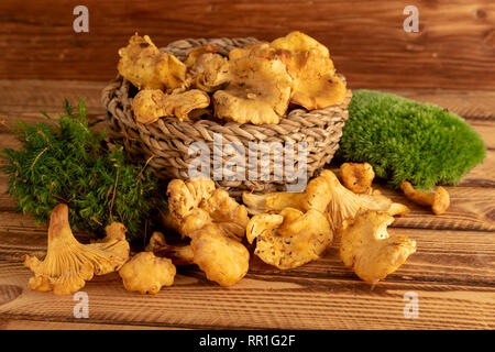 Korb der wilde Bio Pfifferlinge Pilze auf alten Holztisch Stockfoto