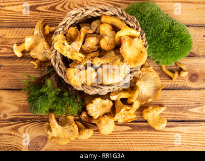 Frische Pfifferlinge oder golden Pfifferlinge über Holz- Hintergrund. Ansicht von oben Stockfoto