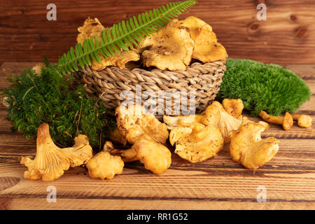 Korb mit frischen Pfifferlingen auf alten hölzernen Hintergrund Stockfoto