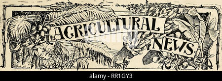 . Landwirtschaftliche Nachrichten. Landwirtschaft - West Indies; Pflanzenkrankheiten - West Indies. Eine ZWEIWÖCHENTLICHE ÜBERPRÜFUNG DER UuSV YORIi IMPERIAL LANDWIRTSCHAFTSMINISTERIUM für die Westindischen Inseln. Tard ^ ' Vol. IV. Nr. 77. BARBADOS, März 2.5, 1905. Preis Id. Inhalt. S. IGE. S. GE. Ayiicultural zeigt, Nachlese 02 1904-5 81 Insekt Xotes: - Barbados Bananen 84 Mais Ohr Wurm 00 Biene Keejjing: - die Verfälschung von Honig botanischen Stationen: - Dominica St.^ Britisli Kitfs St. Lucia Guyana, Agri-cultui' e in!) 1 krank'. tl8!). lamaica Gefängnis Bauernhof. Marktberichte Notizen und Kommentare () nions: - Bakterielle R (jt Perspektiven des Ernteguts Stockfoto