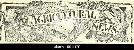 . Landwirtschaftliche Nachrichten. Landwirtschaft - West Indies; Pflanzenkrankheiten - West Indies. . Bitte beachten Sie, dass diese Bilder sind von der gescannten Seite Bilder, die digital für die Lesbarkeit verbessert haben mögen - Färbung und Aussehen dieser Abbildungen können nicht perfekt dem Original ähneln. extrahiert. Großbritannien. Imperial Abt. der Landwirtschaft für die Westindischen Inseln. Bridgetown, Barbados, Bowen &Amp; Söhne; Stockfoto