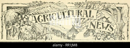 . Landwirtschaftliche Nachrichten. Landwirtschaft - West Indies; Pflanzenkrankheiten - West Indies. . Bitte beachten Sie, dass diese Bilder sind von der gescannten Seite Bilder, die digital für die Lesbarkeit verbessert haben mögen - Färbung und Aussehen dieser Abbildungen können nicht perfekt dem Original ähneln. extrahiert. Großbritannien. Imperial Abt. der Landwirtschaft für die Westindischen Inseln. Bridgetown, Barbados, Bowen &Amp; Söhne; Stockfoto