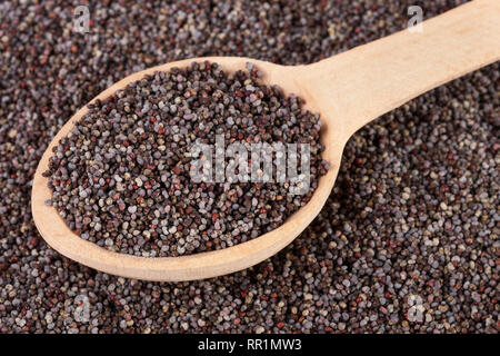 Mohnsamen mit einem Löffel als Hintergrund. Ansicht von oben Stockfoto