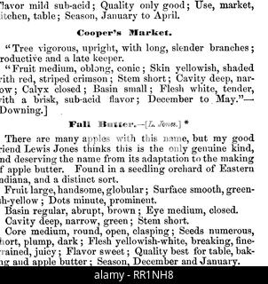 . Amerikanische pomology: Äpfel. Äpfel. 678 BESCHREIBUNGEN VON ÄPFELN. Abb. 280.- Haag. Herman. Riegel'' von Cumberland County, Pennsylvania. Baum Vigor-ous, Verbreitung, ziemlich reich. Obst Mittel, länglich, konisch; fein rot, gestreift auf grün, Fleisch grünlich weiß, zart, saftig, sub-Säure und Aroma; November bis April" - [Saml. Miller, in Downing.] Indiana Beanty. Dieses schöne Indiana Sämling zieht immer die Aufmerksamkeit durch seine äußere Erscheinung, aber es ist nicht sein - Kommen eine allgemeine Favoriten bestimmt. Frucht groß, zylindrische, länglich, ungleiche; Achse in - zurückgegangen; Oberfläche sehr glatt Gelb, Stockfoto