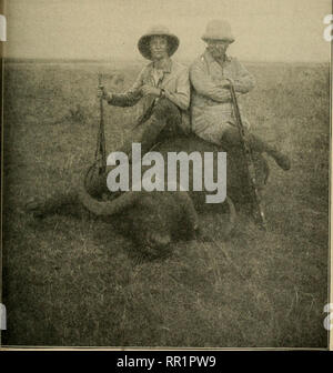 . African Game Spuren;. Die Jagd. Herr Roosevelt und Kermit Roosevelt mit Der erste Büffel. Bitte beachten Sie, dass diese Bilder sind von der gescannten Seite Bilder, die digital für die Lesbarkeit verbessert haben mögen - Färbung und Aussehen dieser Abbildungen können nicht perfekt dem Original ähneln. extrahiert. Roosevelt, Theodore, 1858-1919. New York, London, Syndicate Verlag Stockfoto