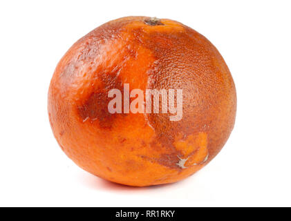 Eine beschädigte Tangerine auf weißem Hintergrund Stockfoto