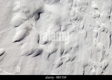 Nahaufnahme von Wind geformten Muster in frischen Schnee Stockfoto