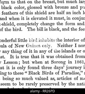 . Die Malaiischen Archipel: das Land der oranguatan, und der Vogel des Paradieses. Eine Erzählung von Reisen, mit Studien von Mensch und Natur. Natural History; Ethnologie. Die Six-Shafted Bikd von Paeadise. 565 sind mit breiten flachen Federn eines intensiven goldenen Farbton skaliert, Wechsel auf grüne und blaue Farbtöne in bestimmten Leuchten. Auf der Rückseite des Kopfes ist ein breites Band recurved von Federn, deren Brillanz ist unbeschreiblich, die an den Glanz von Emerald und Topaz, anstatt jede organische Substanz. Über die Vorder- Kopf ist ein großer Patch aus reinem weißen Federn, die glänzen wie Satin; und von den Seiten der Stockfoto
