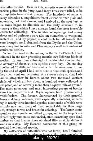 . Die Malaiischen Archipel: das Land der oranguatan, und der Vogel des Paradieses. Eine Erzählung von Reisen, mit Studien von Mensch und Natur. Natural History; Ethnologie. Bemerkenswerte Käfer an FOUIsD SIMUNJON, Borneo,. Bitte beachten Sie, dass diese Bilder sind von der gescannten Seite Bilder, die digital für die Lesbarkeit verbessert haben mögen - Färbung und Aussehen dieser Abbildungen können nicht perfekt dem Original ähneln. extrahiert. Wallace, Alfred Russel, 1823-1913. New York: Harper Stockfoto