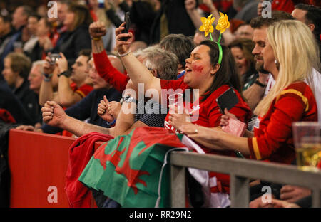 Fürstentum Stadium, Cardiff, UK. 23 Feb, 2019. Guinness sechs Nationen Rugby, Wales gegen England; Wales Fans feiern in der letzten, in der Ihre Seite 21-13 Credit: Aktion plus Sport/Alamy Leben Nachrichten gewann Pfeifen Stockfoto