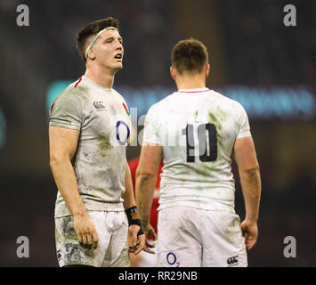 Fürstentum Stadium, Cardiff, UK. 23 Feb, 2019. Guinness sechs Nationen Rugby, Wales gegen England; Tom Curry aus England Credit: Aktion plus Sport/Alamy leben Nachrichten Stockfoto