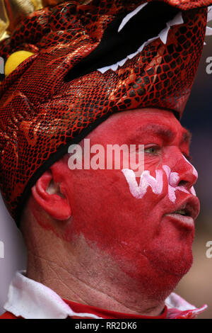 Cardiff, Großbritannien. 23 Feb, 2019. Wales Rugby Fan. Wales V England, Guinness Six Nations 2019 internationale Rugby Spiel im Fürstentum Stadium in Cardiff, Wales, Großbritannien am Samstag, 23. Februar 2019. pic von Andrew Obstgarten/Alamy Leben Nachrichten BITTE BEACHTEN SIE FÜR REDAKTIONELLE VERWENDEN SIE NUR BILD VERFÜGBAR. Stockfoto