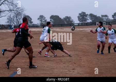 Februar 23, 2019 - Southern Pines, North Carolina, USA - Dez. 23, 2019 - Southern Pines, N.C., USA - der Carolinas geographische Rugby Union Rugby Männer Aktion zwischen den Southern Pines'' große Kegel'' und Charleston (South Carolina) Outlaws Rugby Football Club Twin Felder Bauernhof. Southern Pines - aus Charleston, 105-0. (Bild: © Timothy L. Hale/ZUMA Draht) Stockfoto