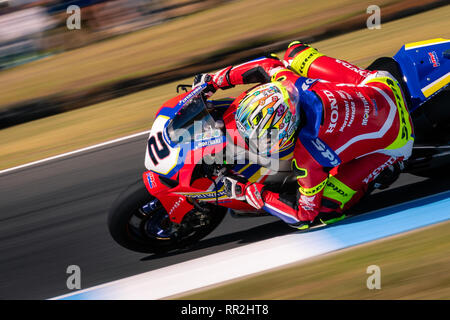 Melbourne, Australien. 24 Feb, 2019. MELBOURNE, AUSTRALIEN - 24. Februar: Leon Camier 2 Reiten für Red Bull Honda World Superbike Team während der 2019 MOTUL FIM Superbike Weltmeisterschaft auf Phillip Island, Australien, am 24. Februar 2019. Credit: Dave Hewison Sport/Alamy leben Nachrichten Stockfoto