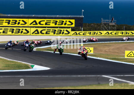 Phillip Island, Australien. 24 Feb, 2019. World Superbikes Meisterschaft, Race Day; Alvaro Bautista führt während des Rennens 2 Credit: Aktion plus Sport/Alamy leben Nachrichten Stockfoto