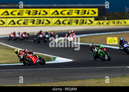 Phillip Island, Australien. 24 Feb, 2019. World Superbikes Meisterschaft, Race Day; Alvaro Bautista führt während des Rennens 2 Credit: Aktion plus Sport/Alamy leben Nachrichten Stockfoto