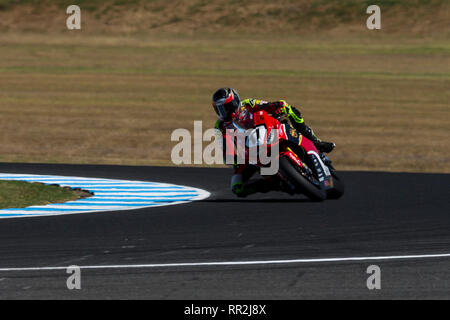 Phillip Island, Australien. 24 Feb, 2019. World Superbikes Meisterschaft, Race Day; Troy Herfoss während des Rennens 2 Credit: Aktion plus Sport/Alamy leben Nachrichten Stockfoto