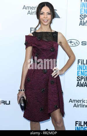 SANTA MONICA, Los Angeles, CA, USA - 23. Februar: TV-Persönlichkeit Terri Seymour kommt an der 2019 Film Independent Spirit Awards in den Santa Monica Beach am 23. Februar 2019 in Santa Monica, Los Angeles, Kalifornien, USA. (Foto von Xavier Collin/Image Press Agency) Stockfoto