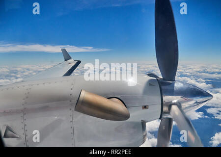 Beechcraft 1900D-Twin engined Turboprop Flugzeuge im Flug über den Amazonas Regenwald Stockfoto