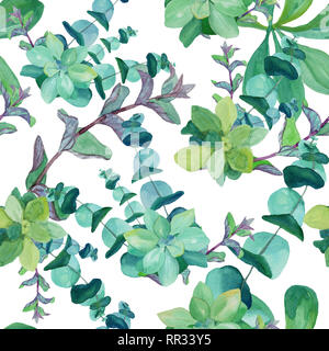 Nahtlose aquarell Muster von baby blue Eukalyptus, dekorative Brennnessel, Pfefferminze, Sukkulenten. Botanische Design für Textil, Verpackung, Verpackung Papier. Stockfoto
